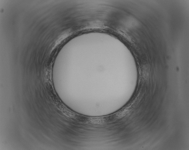 X0000071771258200607211523