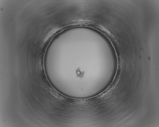 X0000071771259200607211523