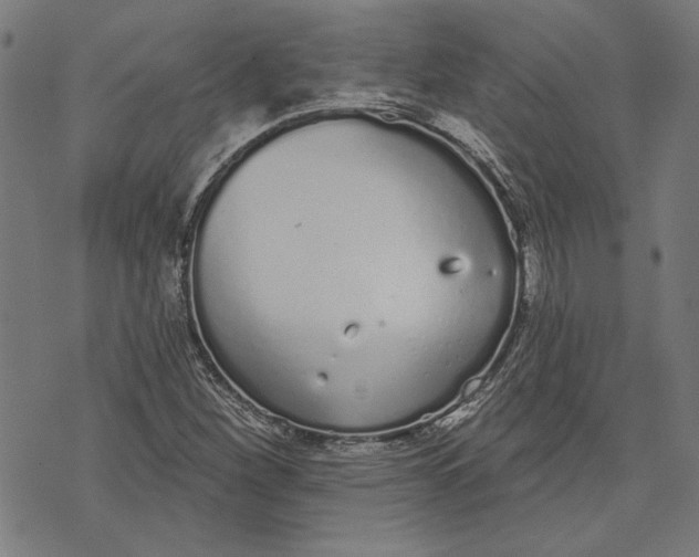 X0000071771260200607211523