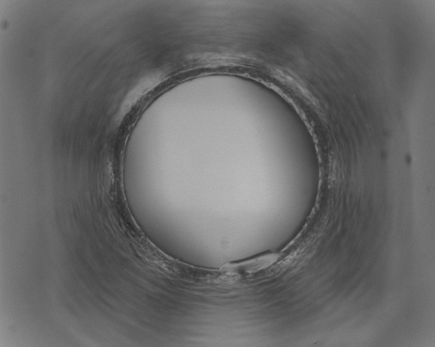 X0000071771261200607211523