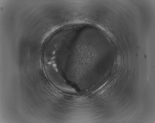 X0000071771262200607211523