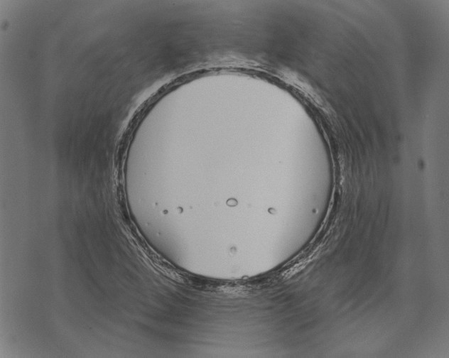 X0000071771264200607211523