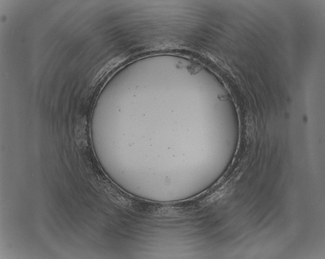 X0000071771265200607211523