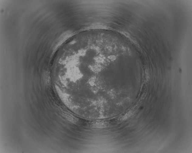 X0000071771266200607211523