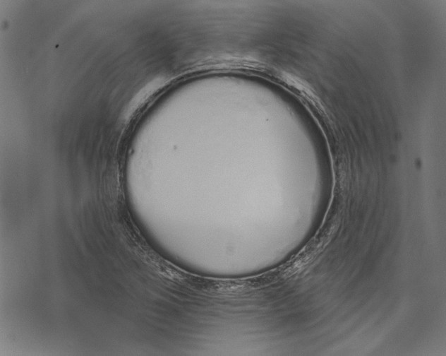 X0000071771267200607211523