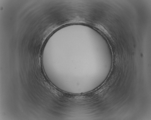 X0000071771268200607211523