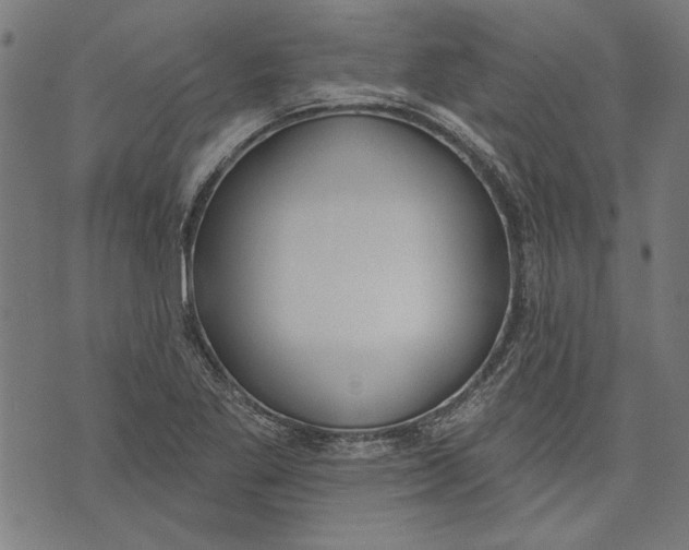 X0000071771269200607211523