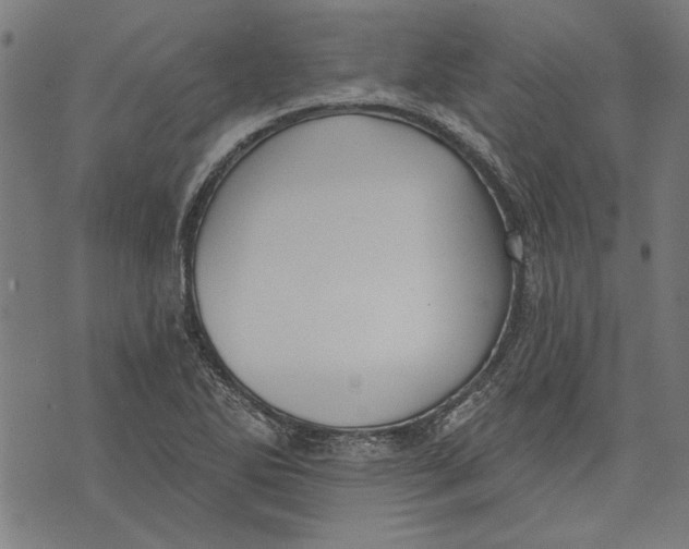 X0000071771270200607211523