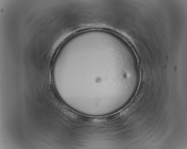 X0000071771271200607211523