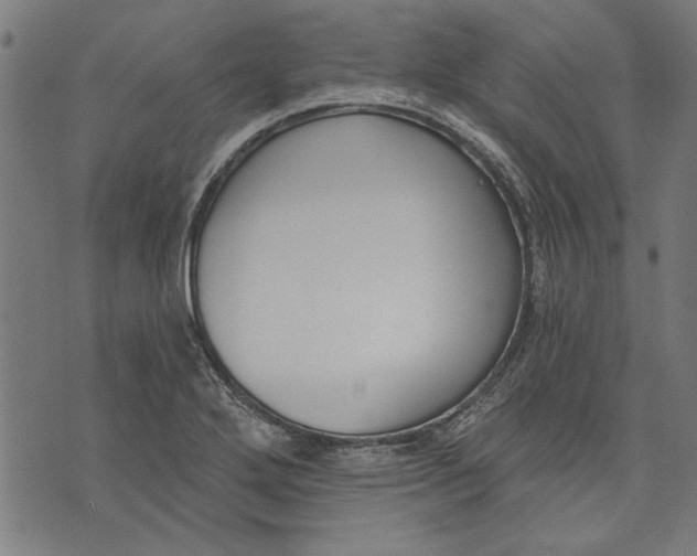 X0000071771272200607211523