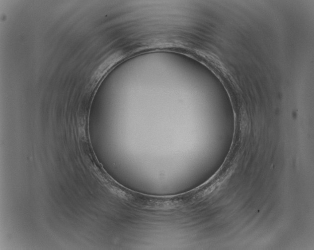 X0000071771273200607211523