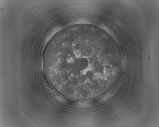 X0000071771274200607211523