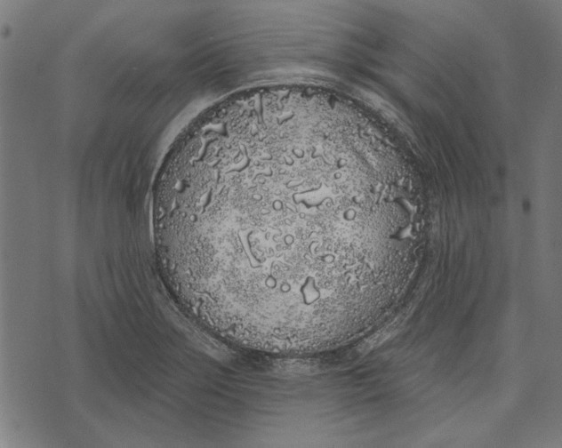 X0000071771275200607211523