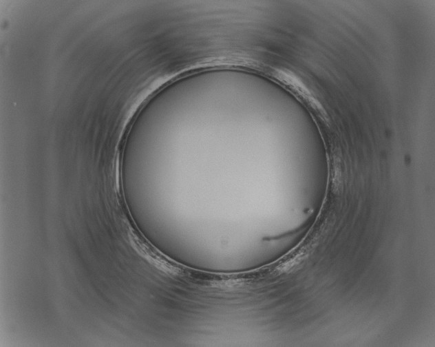 X0000071771276200607211523