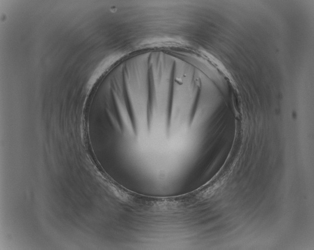 X0000071771277200607211523