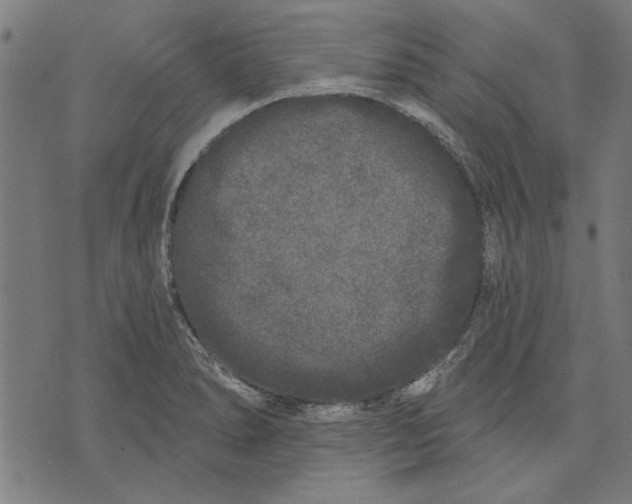 X0000071771278200607211523