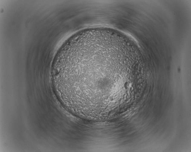 X0000071771279200607211523