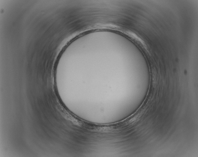 X0000071771280200607211523