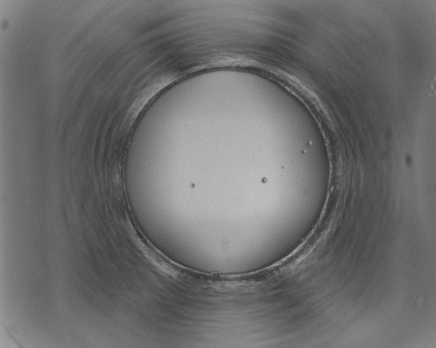 X0000071771281200607211523