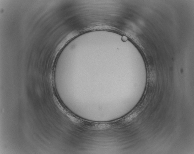 X0000071771282200607211523