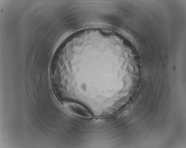 X0000071771283200607211523