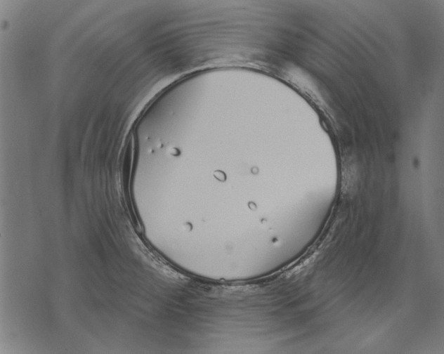 X0000071771284200607211523