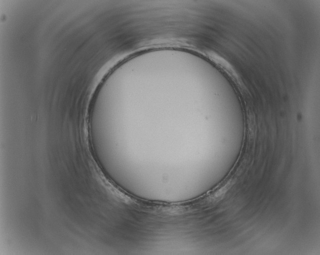 X0000071771288200607211522