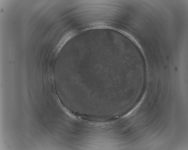 X0000071771289200607211522