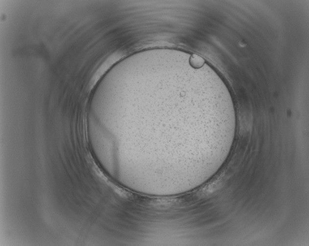 X0000071771290200607211522