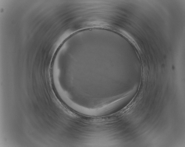 X0000071771291200607211522