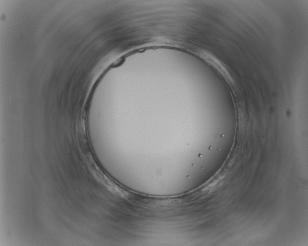 X0000071771292200607211522