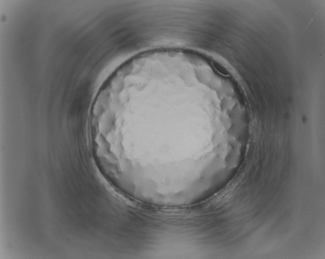 X0000071771295200607211522