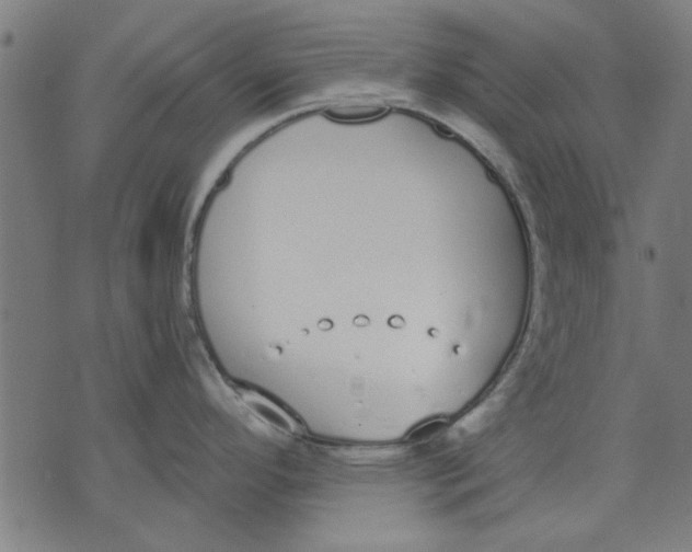 X0000071771296200607211522