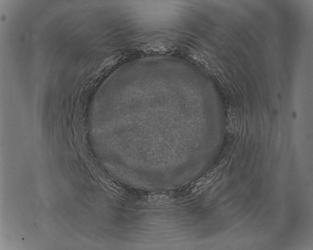 X0000071771297200607211522