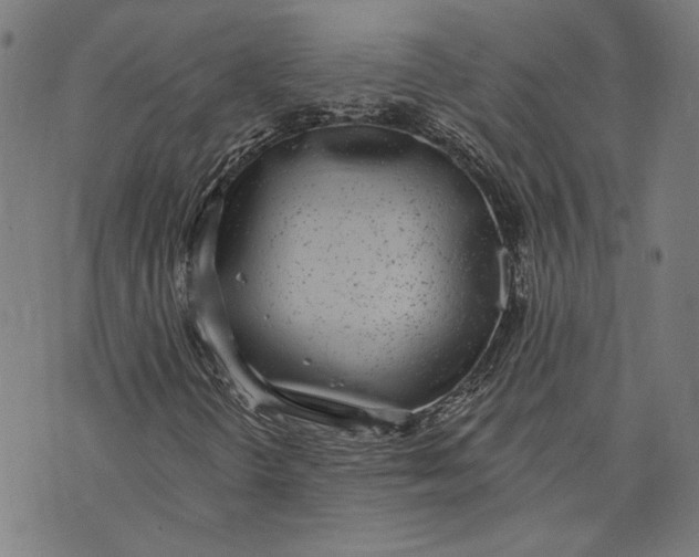 X0000071771298200607211522