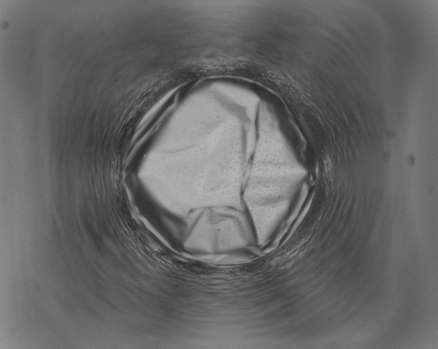 X0000071771300200607211522