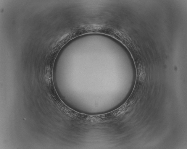 X0000071771301200607211522