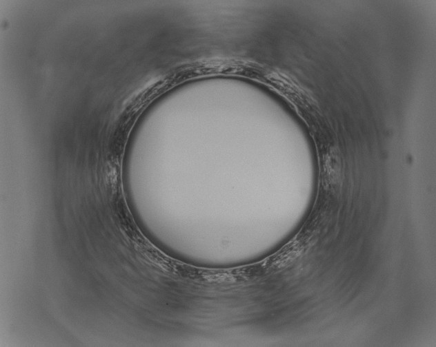 X0000071771302200607211522