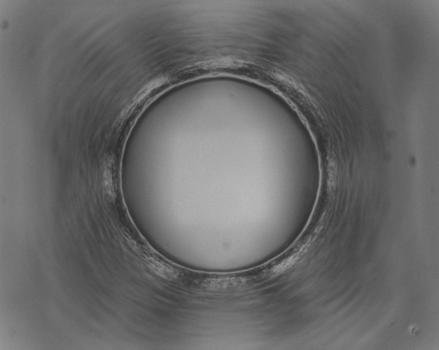 X0000071771305200607211522