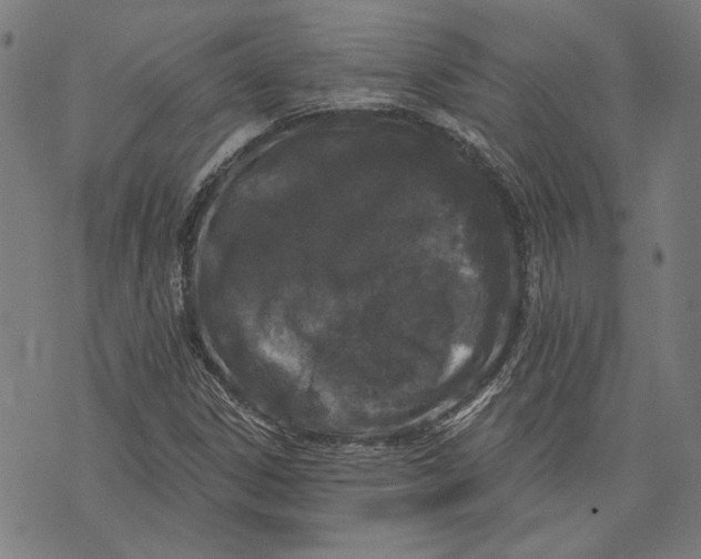 X0000071771306200607211522