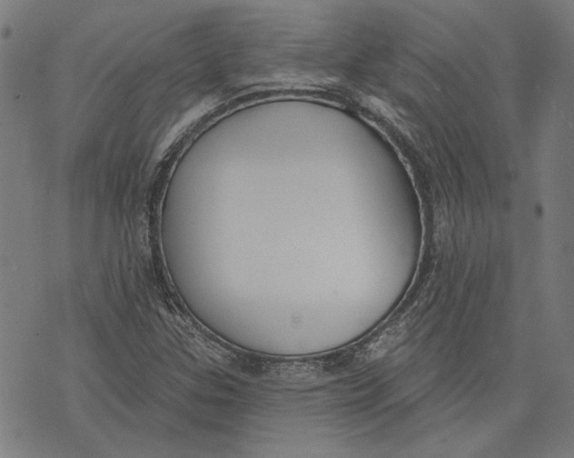 X0000071771307200607211522