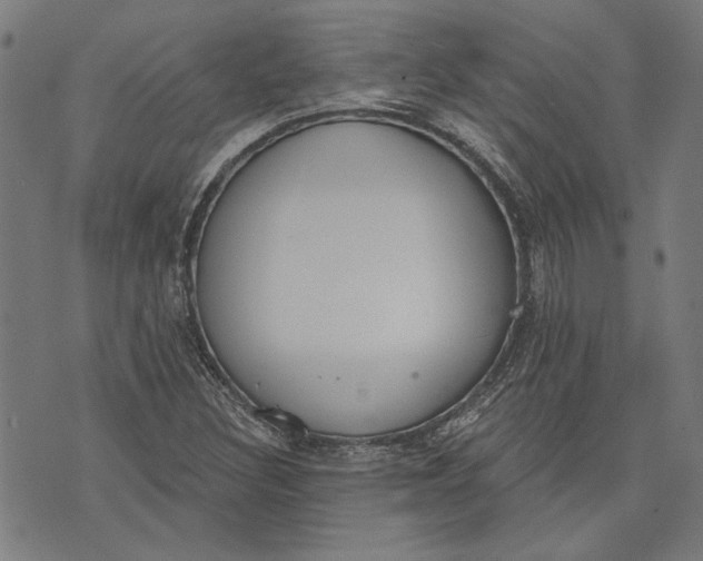 X0000071771308200607211522