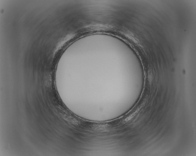 X0000071771309200607211522