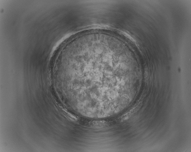 X0000071771310200607211522