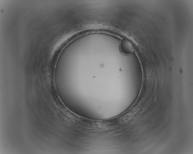 X0000071771311200607211522