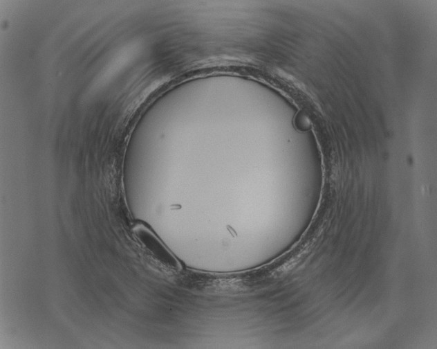 X0000071771313200607211522