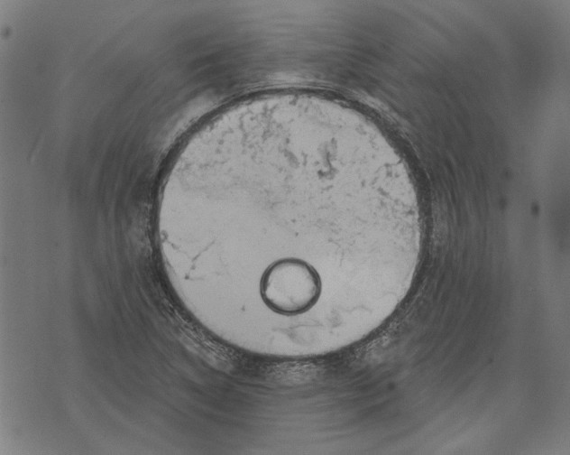 X0000071771314200607211522