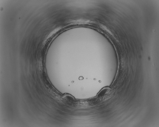 X0000071771315200607211522