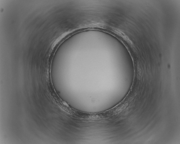 X0000071771316200607211522