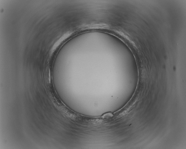 X0000071771317200607211522